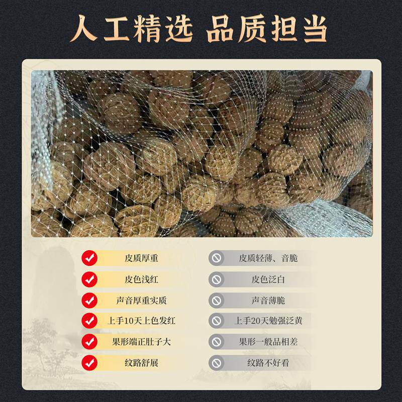 高端小众龙脉元宝涞水文玩核桃大肚子款配对老树果产直发