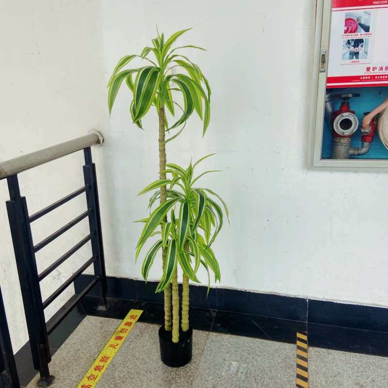 工厂店仿真植物盆栽金心荷花铁小树家居造景装饰假树园艺场景摆件
