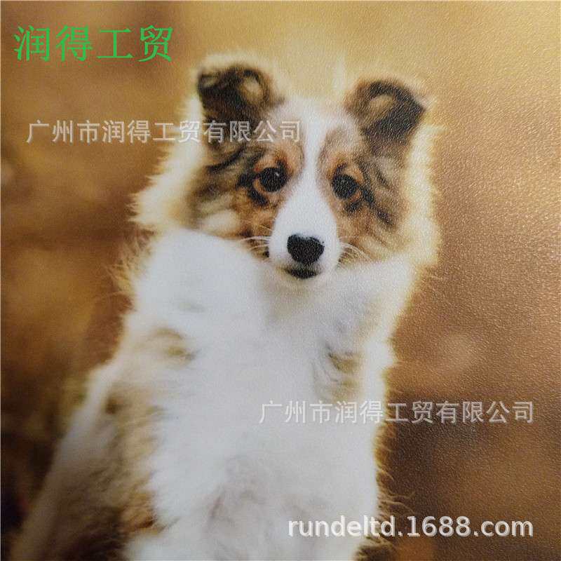 细磨砂2803相之宝哑光膜 PVC自粘冷裱膜 影楼相片广告写真保护膜