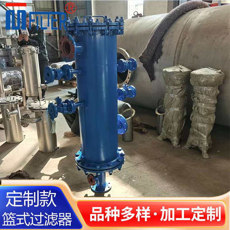 篮式毛发收集器生产厂家 楔形网滤芯 反冲洗易清洁