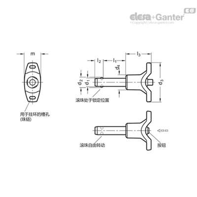 Elesa Ganter伊莉莎冈特 GN 113.7 不锈钢滚珠锁销 AISI 303
