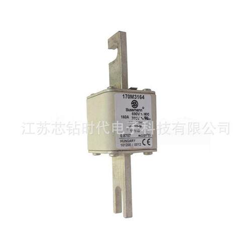 170M3167 170M3168 170M3169 巴斯曼BUSSMANN熔断器保险丝