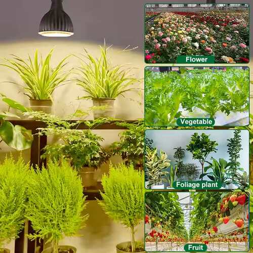PAR30植物补光灯20W 25W全光谱植物生长灯3000K 高显指AC100-240V