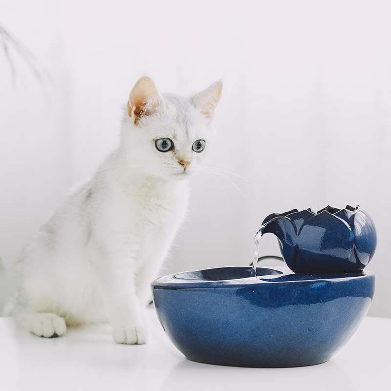 猫用饮水机宠物狗狗用品流动流水喷泉活水猫喂水喝水自动循环
