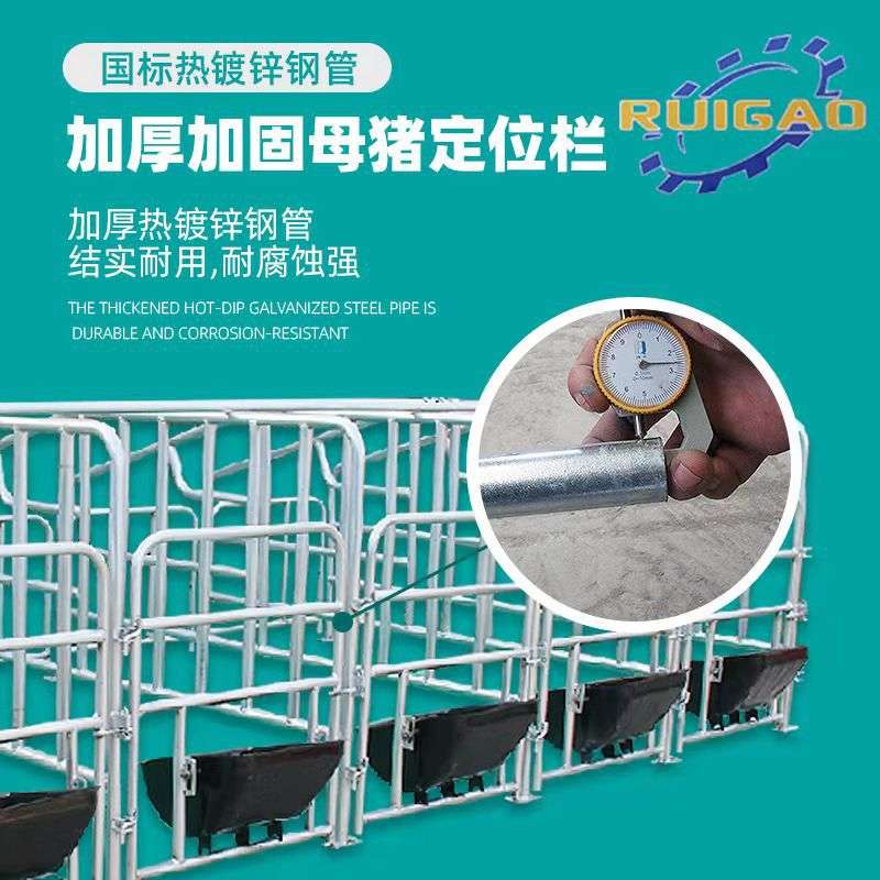 猪用限位栏母猪定位栏养殖设备加厚落地养殖场栏位山东生产厂家