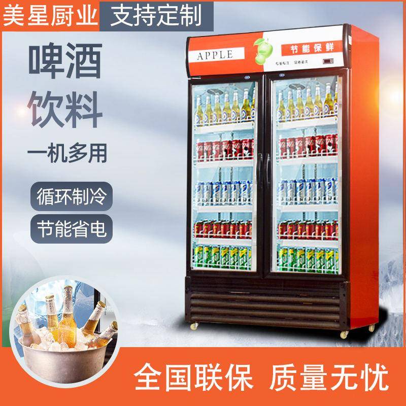 啤酒柜玻璃门展示柜冷藏饮料展示柜立式单双门冰柜冰箱保鲜柜