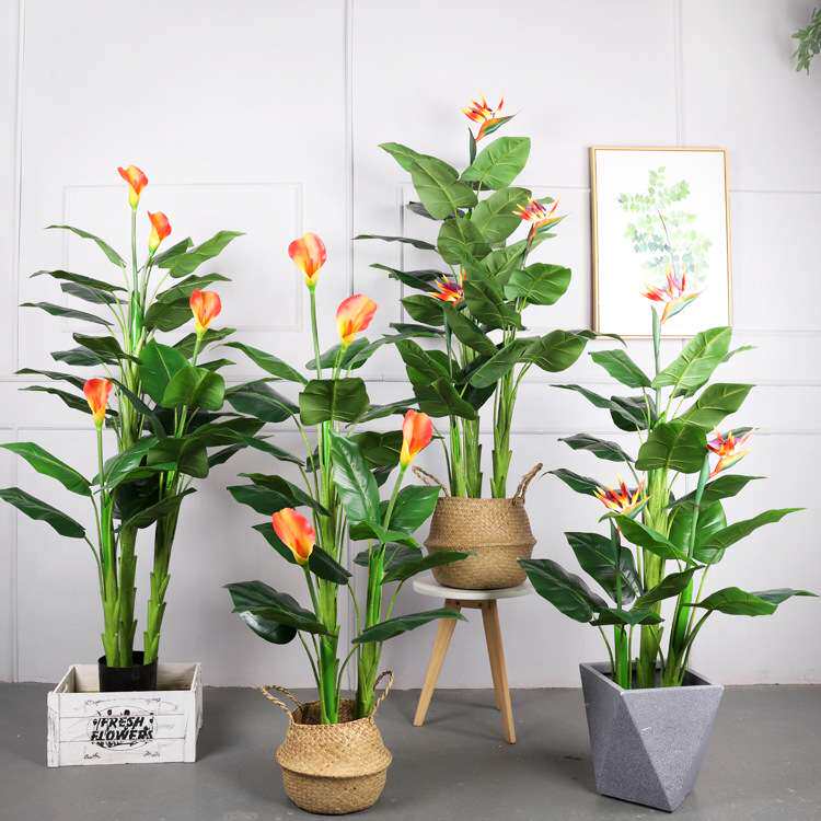 北欧大型仿真绿植马蹄莲 仿真树盆栽酒店餐厅 摆件马蹄莲植物装饰