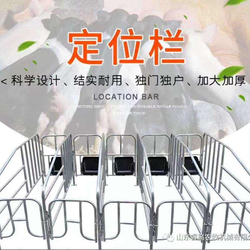 厂家 母猪限位栏猪用定位栏猪场养猪带食槽养猪设备母猪定位栏