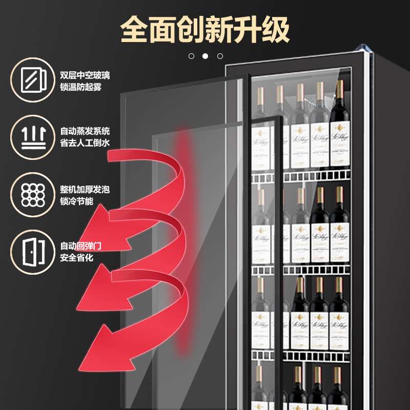 立式饮料柜网红酒水柜节能展示柜商用冷藏柜大容量啤酒柜双门冰柜