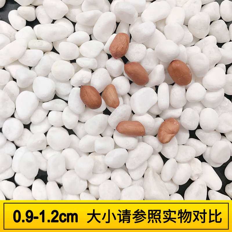 鹅卵石天然雨花石小白石子多肉铺面石盆栽花盆养花水培白色石头