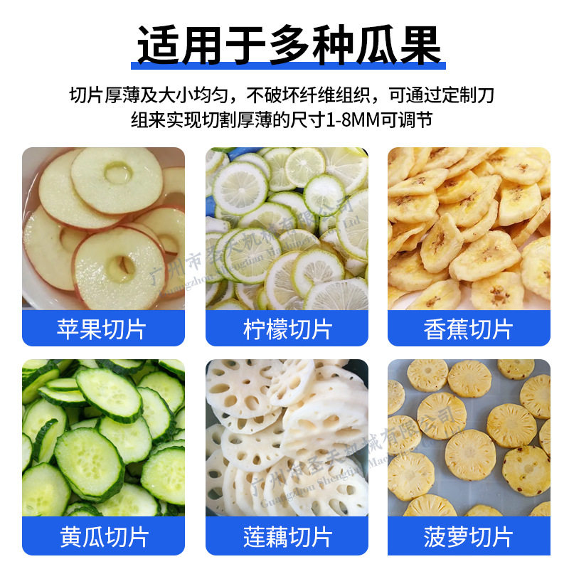 广州圣天电动瓜果切片机菠萝切圆片机青瓜柠檬橙子切正片圆片机