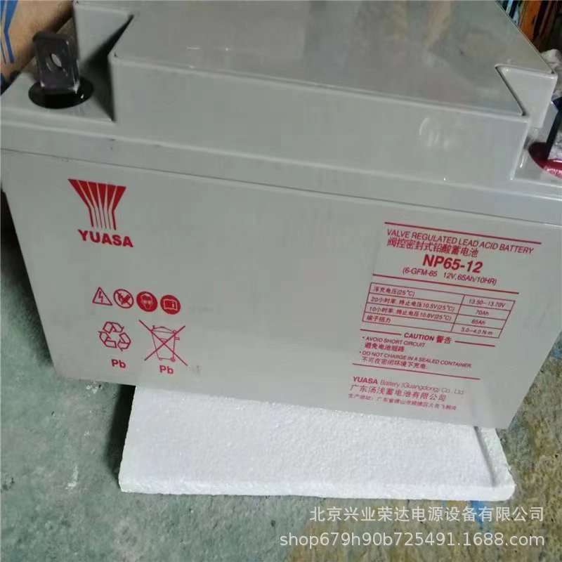 汤浅铅酸蓄电池 12v110ah汤浅蓄电池 汤浅NP110-12免维护蓄电池