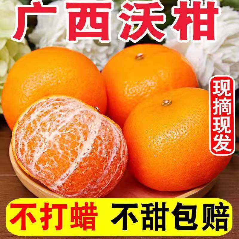 正宗广西武鸣沃柑新鲜水果9斤