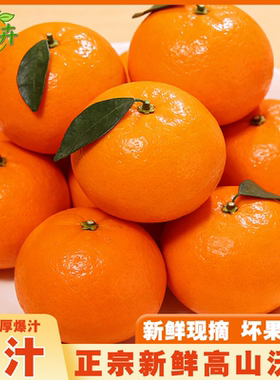 广西武鸣沃柑新鲜应季水果包邮