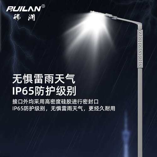 LED市电路灯单双臂6米8米12米道路照明足瓦30W60W100W照明灯智能