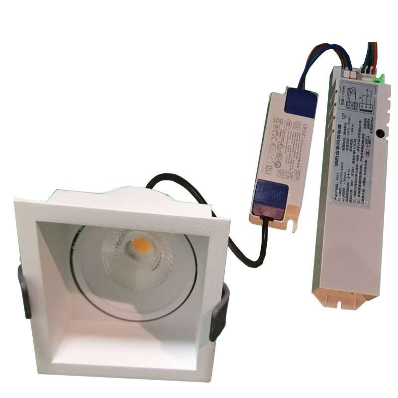 Emergency Light 3hrsLED迷你非持续式应急天花小射灯应急灯跨境