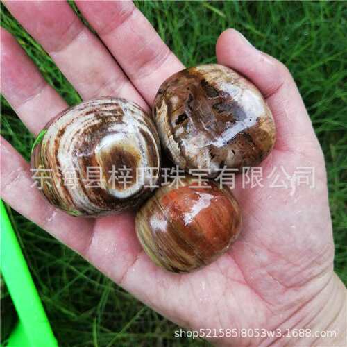 厂家 水晶把玩天然木化石原石树化玉手把件手掌石摆件家居摆件
