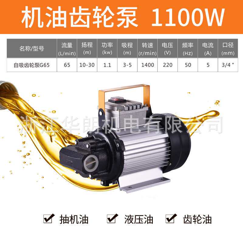 韩朗机油齿轮泵微型铝合金电动交流抽油泵厂家 液压泵家用铜线