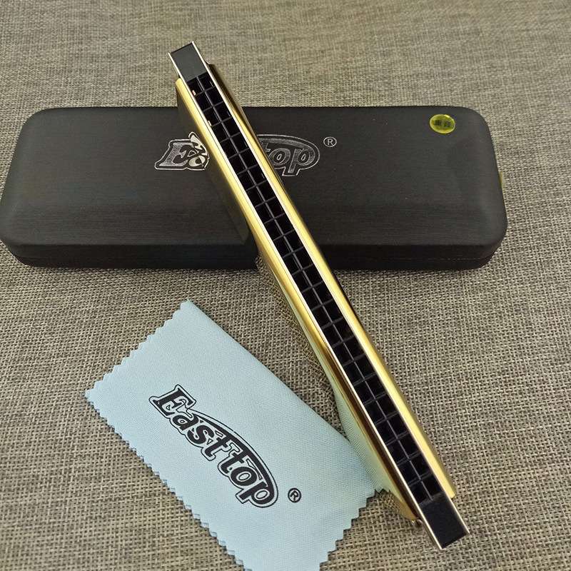 东方T2410口琴24孔口琴重音口琴 C调金色银色皮盒图片