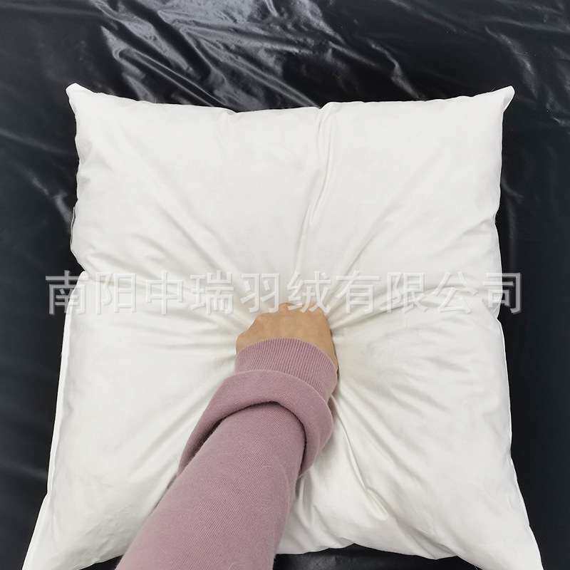 厂家直供 羽绒羽毛枕头芯 纯棉抱枕客厅沙发羽绒靠垫内胆羽绒枕芯