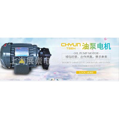 电机 马达 C02-43B0 1.5KW RBB-220Y REXPOWER油泵