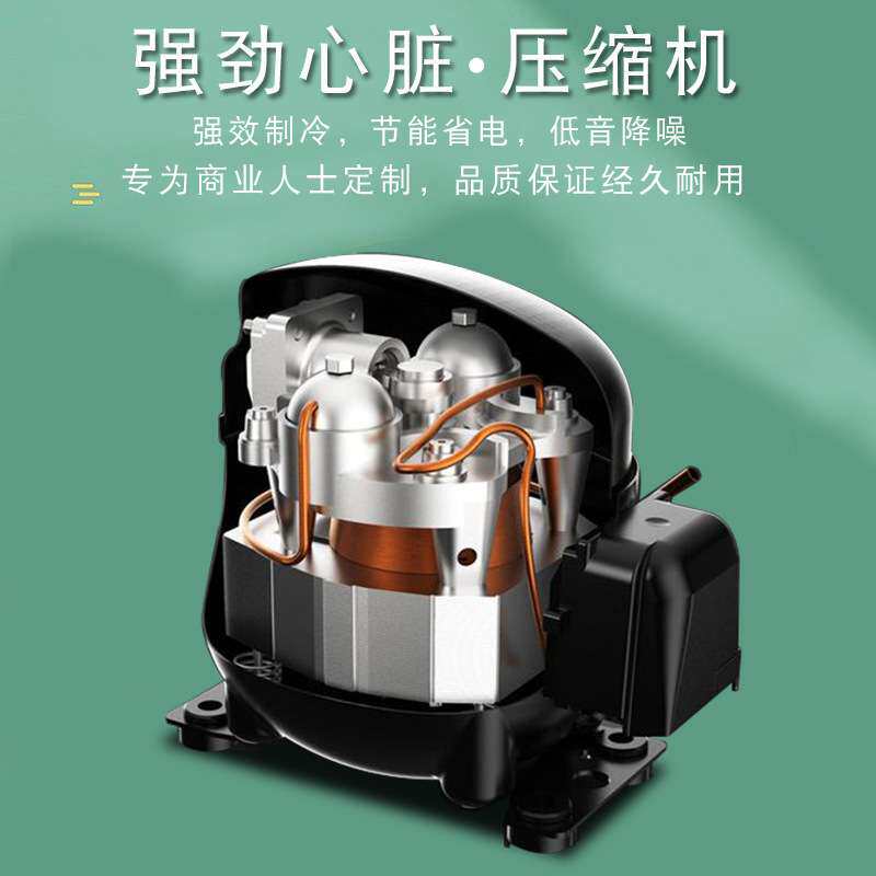 幼儿园学校食品留样柜小型商用单门带锁冷藏保鲜小冰箱饮料展示柜