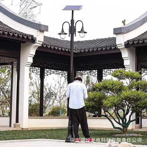 欧式复古庭院灯压铸铝广场小区公园别墅路灯双头3米仿古led景观灯
