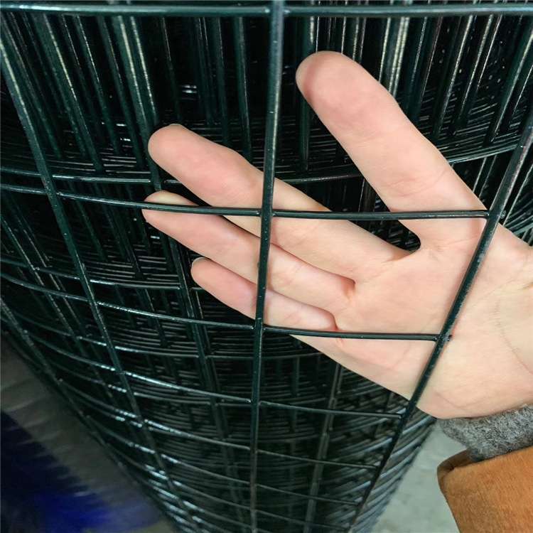 厂家销售荷兰网养殖围网菜园果园网鱼塘网防护铁丝鸡鸭鹅围网