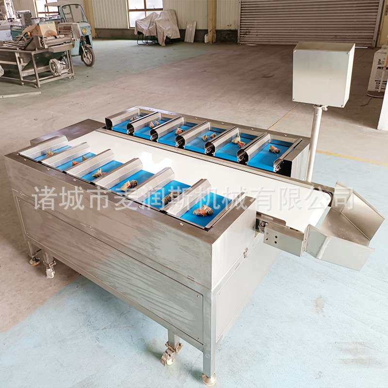 配重组合秤 榴莲肉组合称重机 海参配重组合秤 粽子配重组合秤