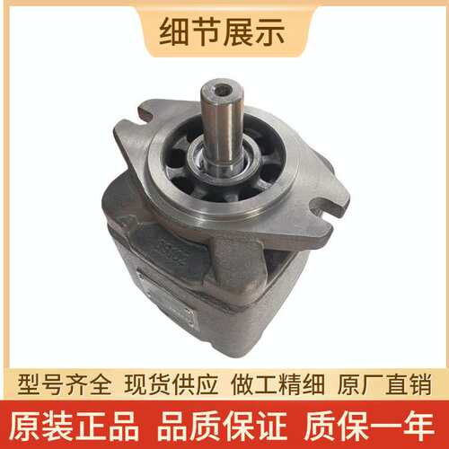 注塑机齿轮泵CP2-80-P-10R CP2-100/125/160-P-10R海特克大排量泵