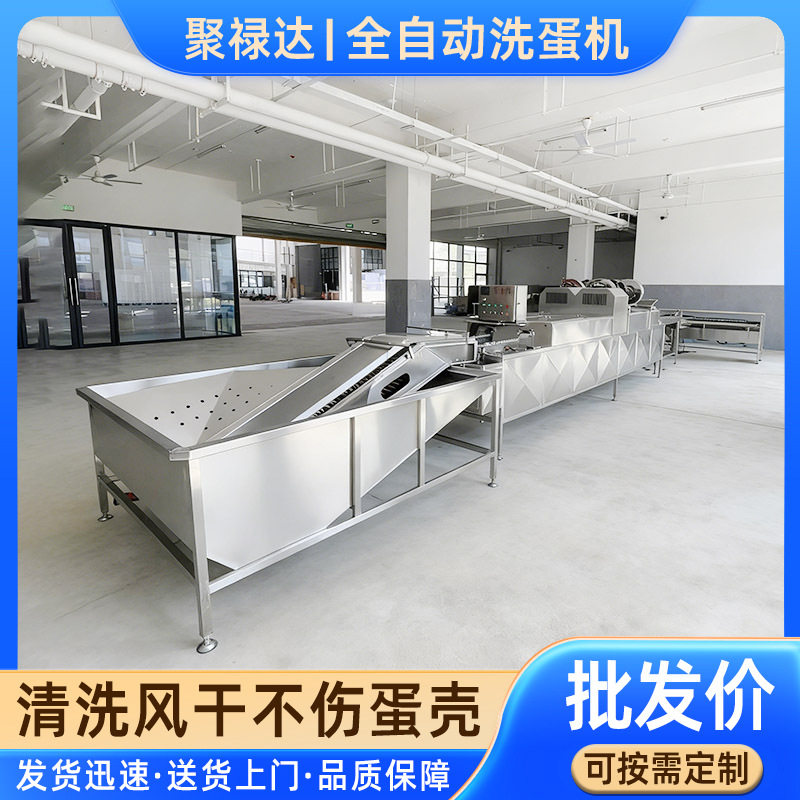 全自动不锈钢双排蛋品清洗机