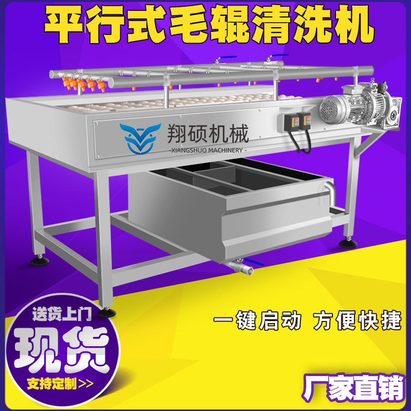 厂家全自动全自动紫菀白及平行毛刷清洗机土贝母天冬清洗机
