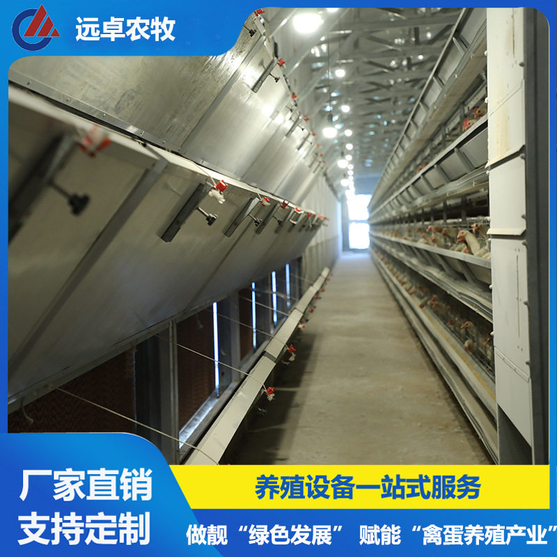 H型框架蛋鸭养殖设备厂海南陵水 四列五层叠蛋鸡笼立式自动捡蛋机