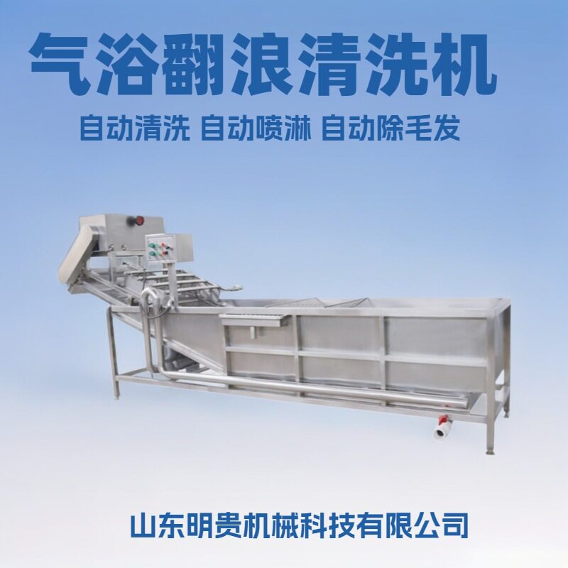 折耳根网带式连续涡流洗菜机