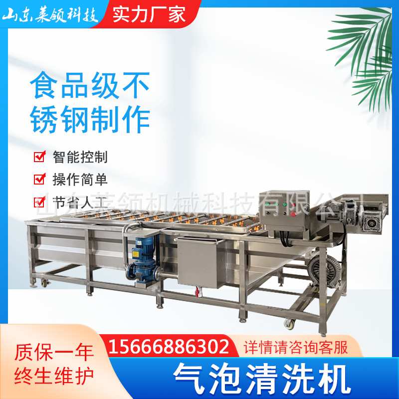 全自动果蔬气泡清洗机 油菜白菜喷淋式清洗设备 高压水泵清洗