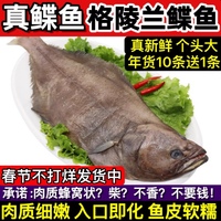 整条大鲽鱼1250g/1100g格陵兰鲽鱼比目鱼新鲜冷冻碟鱼海不切备注