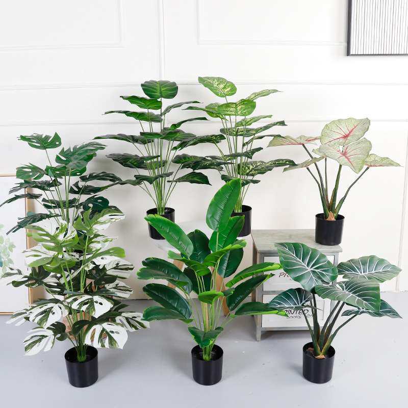 仿真绿植万年青绿萝盆栽 桌面摆件小植物客厅落地 装饰仿真龟背叶