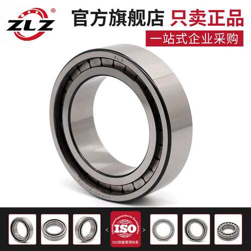 满滚柱圆柱轴承SL/NNCF182216 2217 2218 2219 2220 2222 2224