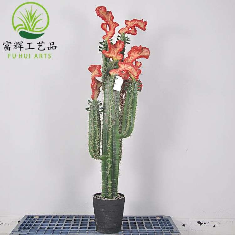 仿真火麒麟仙人掌鸡冠仙人柱花盆栽套装组合家居装饰道具摆件