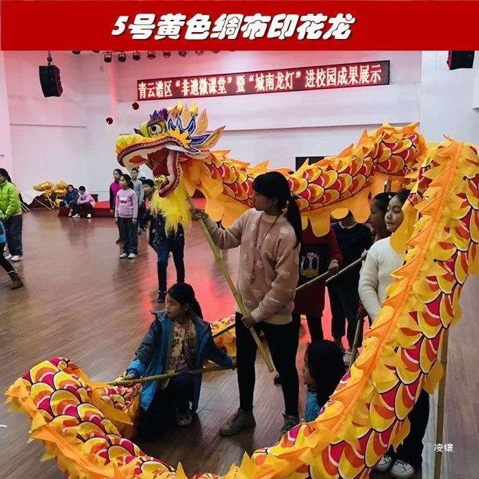 5号中小学生儿童舞龙舞狮道具绸缎布龙舞龙灯服装龙头9节钢丝圈龙