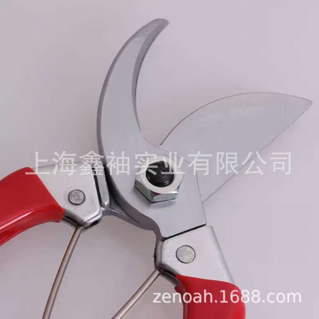 爱丽斯120S-8果树修枝剪园艺花枝剪园林整枝剪