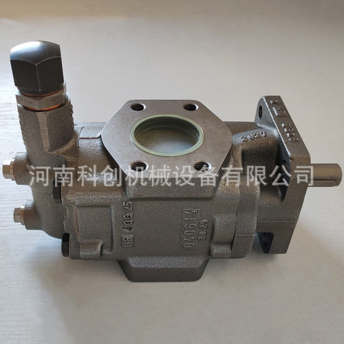 瑞克梅尔油泵R25/20FL-Z-DB16