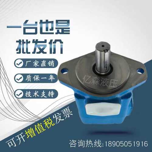 威格士VICKERS叶片泵45V-38A/42A/45A/50A/60A-1A/1B/1D-22R油泵