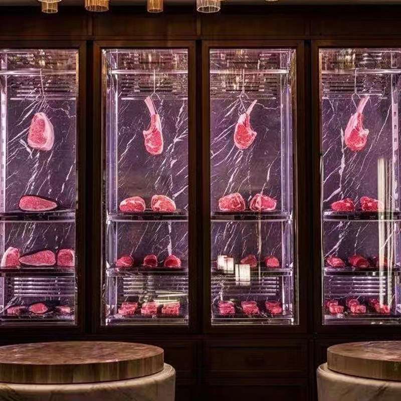 牛肉熟成柜商用牛排柜冷藏冷鲜展示柜干湿排酸柜西餐厅恒温柜冷冻