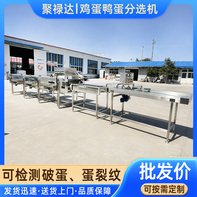 蛋品自动分选机大小重量分级