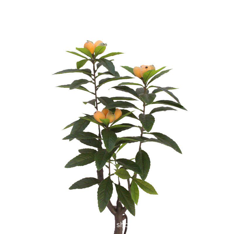 仿真植物17号盆栽枇杷叶树摄影背景枇杷叶叶子W落地盆景客厅
