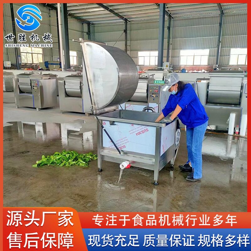 大青枣板栗清洗机 全自动土豆韭菜清洗机 不锈钢气泡清洗机设备
