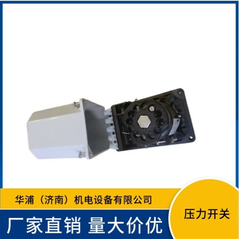 丹弗斯铸铁压力l开关 工业压力控制装置 压力控制