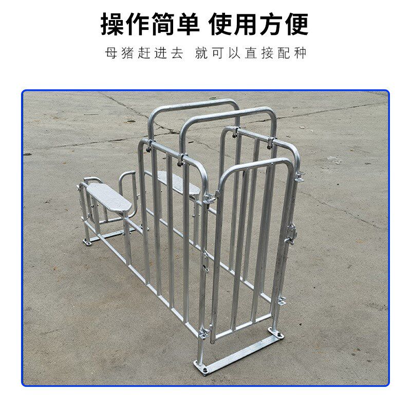 母猪配种架 热镀锌母猪大公猪采A精架子种猪矮脚配种神器 养殖设