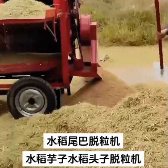 大型125型水稻小麦脱粒机